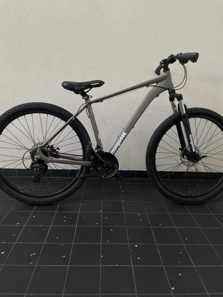 Mongoose bike