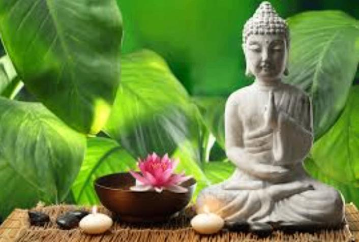 Professional Indian Male Mobile Masseur