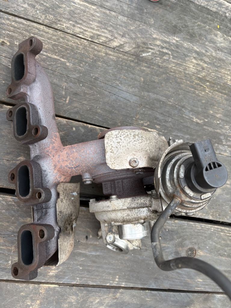 Cay turbo 