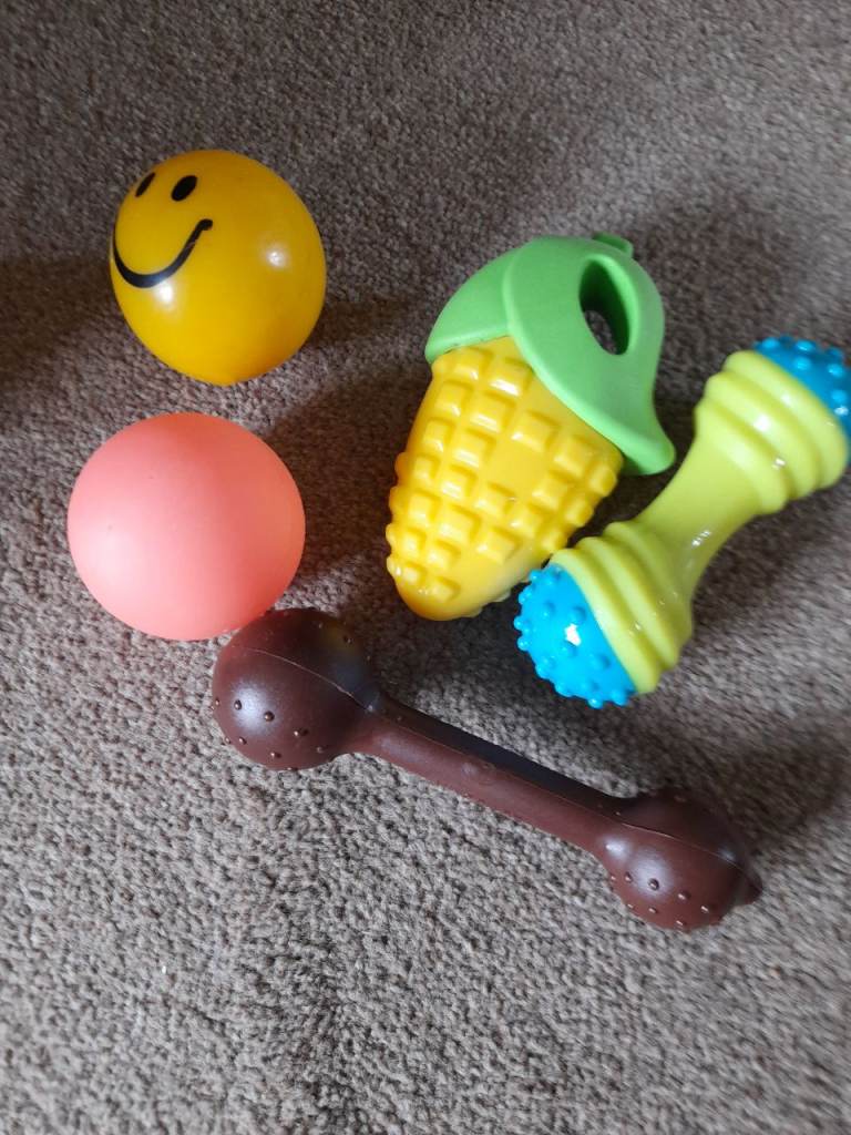 Dog toys
