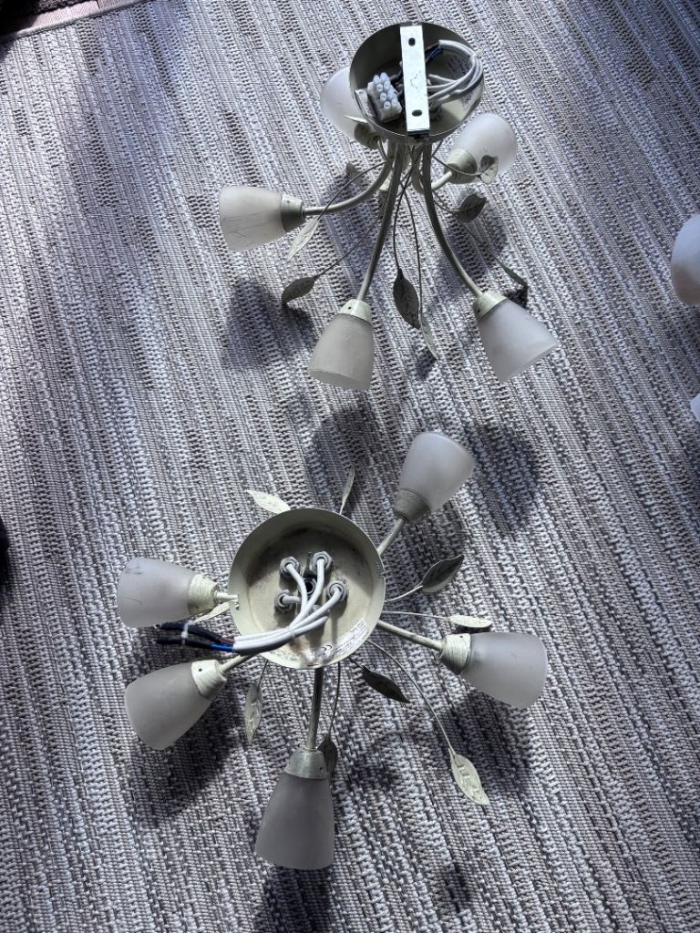 Pair of White Metal Ceiling Lights with Frosted Glass Shades
