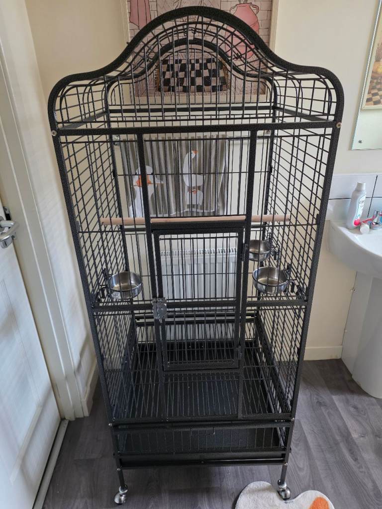 Parrot cage 