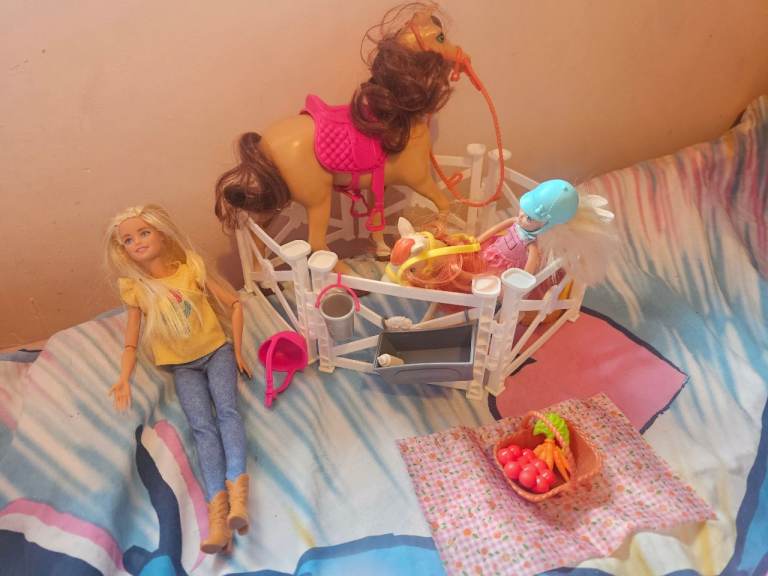 Barbie Doll and Horse Playset – Good Condition