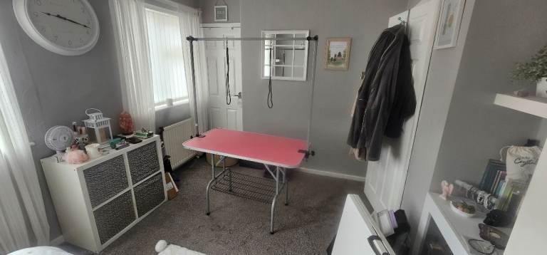Dog grooming table great condition 