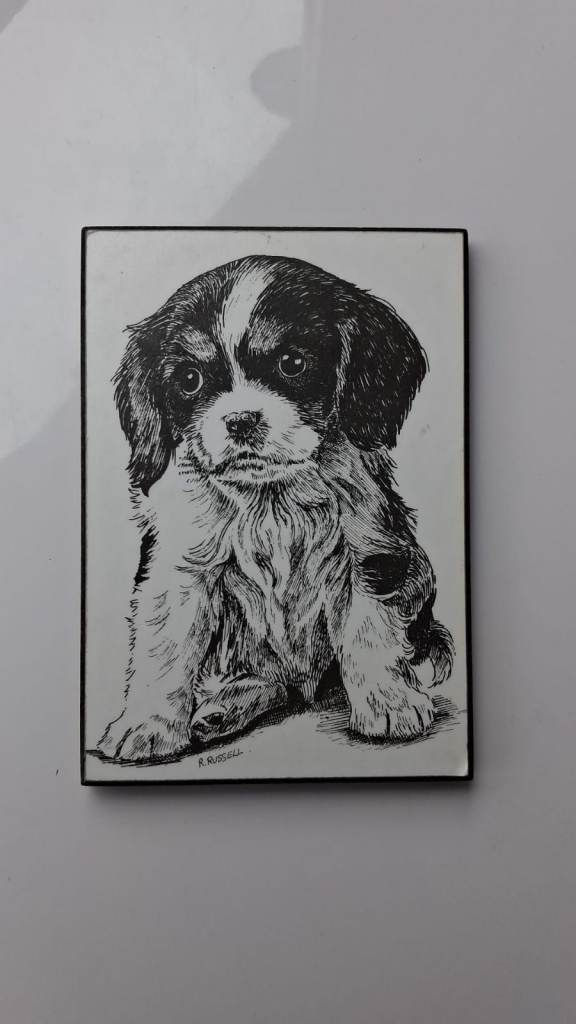 Cavalier King Charles Spaniel puppy,dog signed by the artist R. Russell, hang on a wall