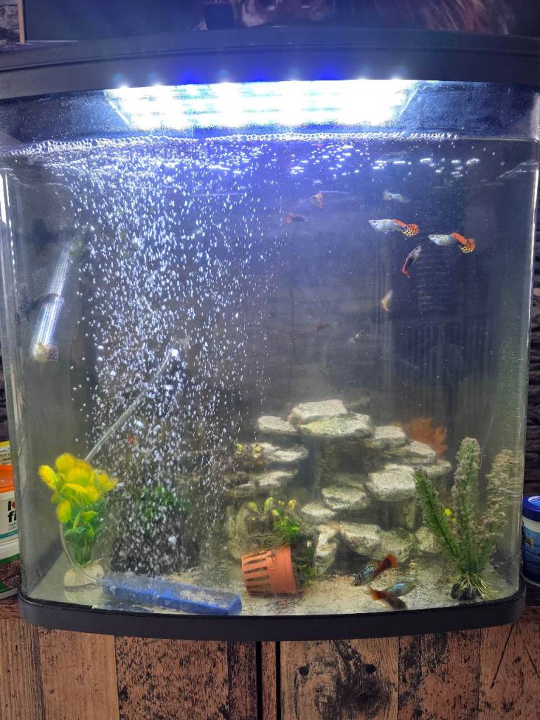 94 litre and 64 litre conplete fish tanks for sale