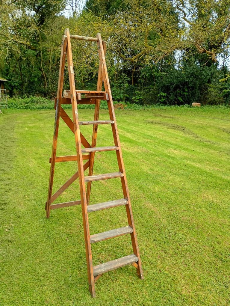 Bratts wooden step ladders 