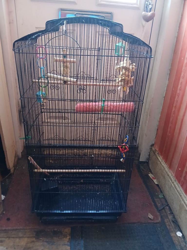 Large bird cage