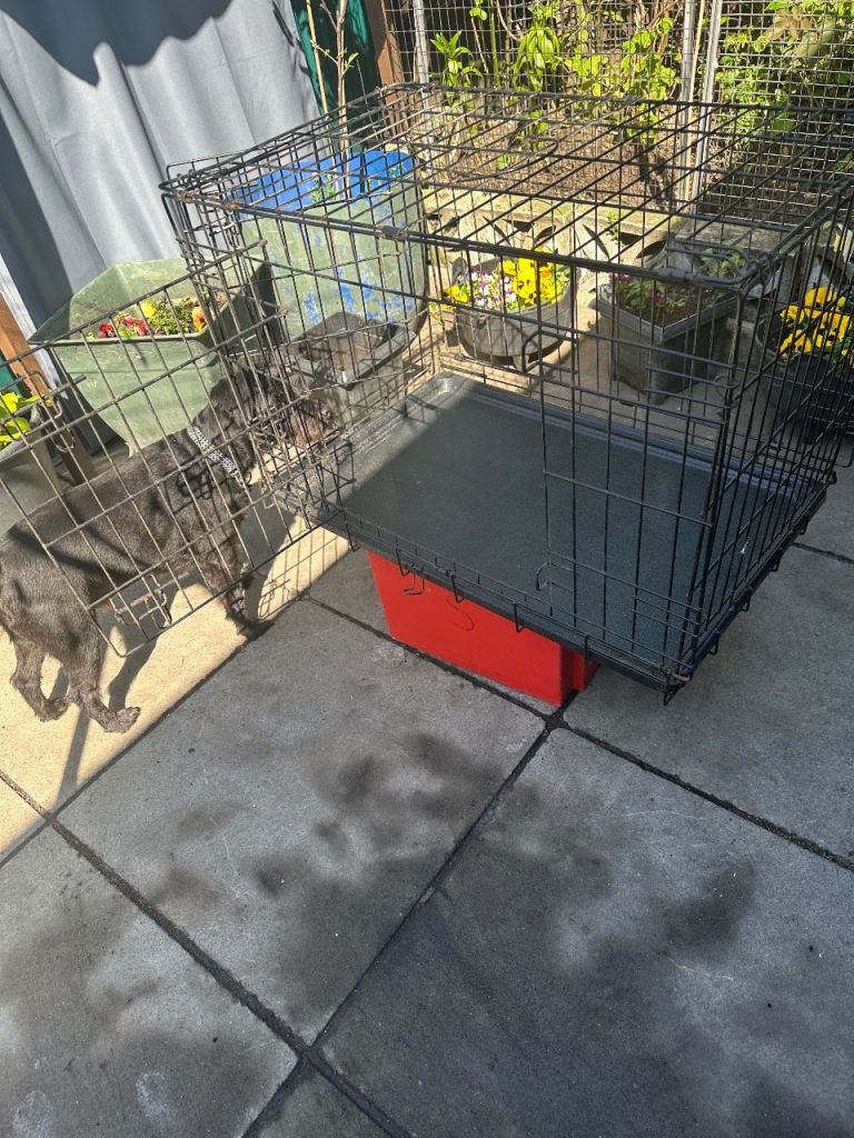 Dog crate 19”x21”x31”.  47cmx53cmx77cm