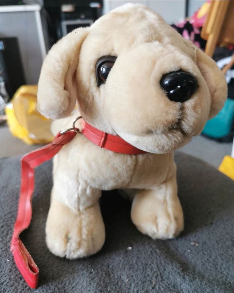 yellow labrador stuffed animal featuring a red collar and leash