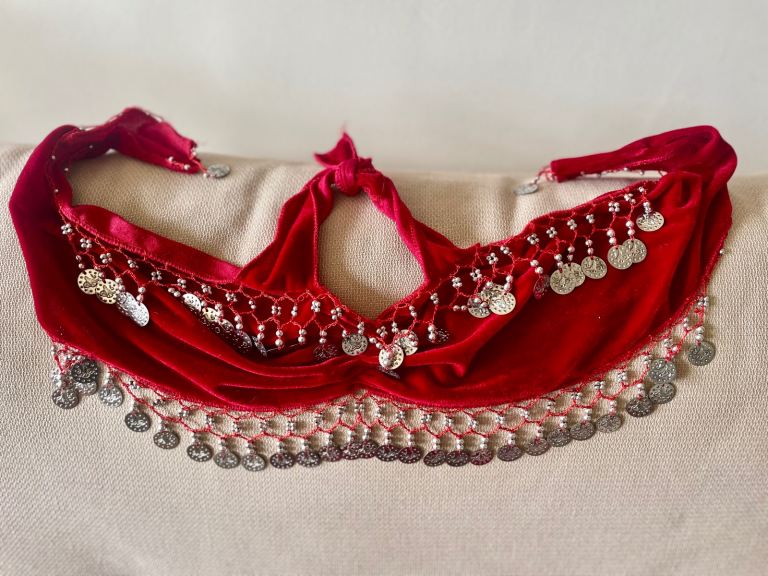 Girls belly dancing costume 