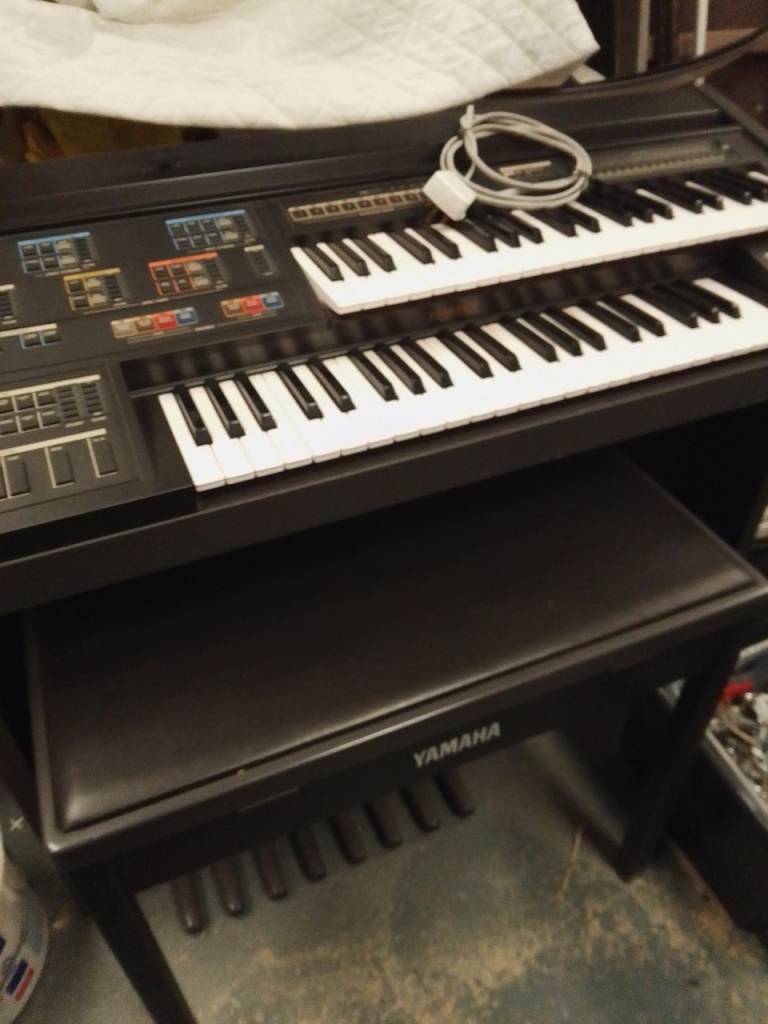 Organ