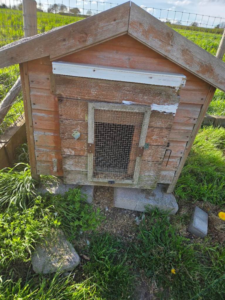 Chicken House/dog kennel