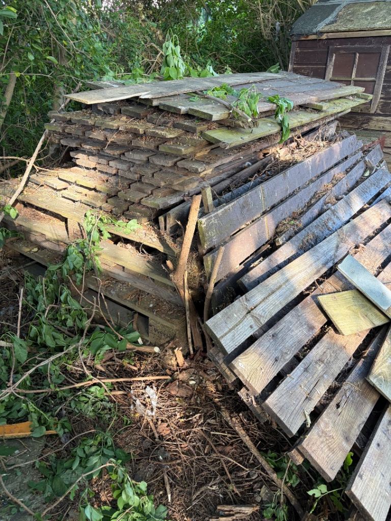 Mixed Timber Wood Pile 