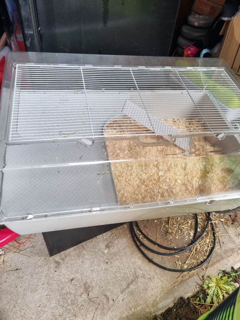 Dwarf hamster cage 