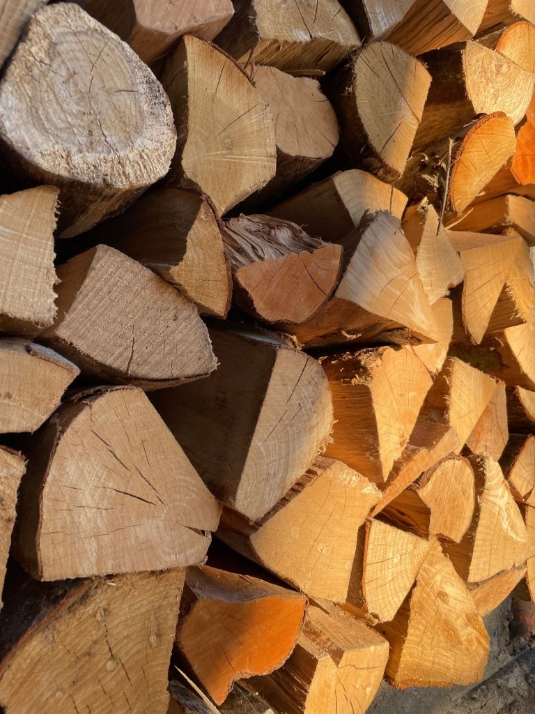 Seasoned firewood logs