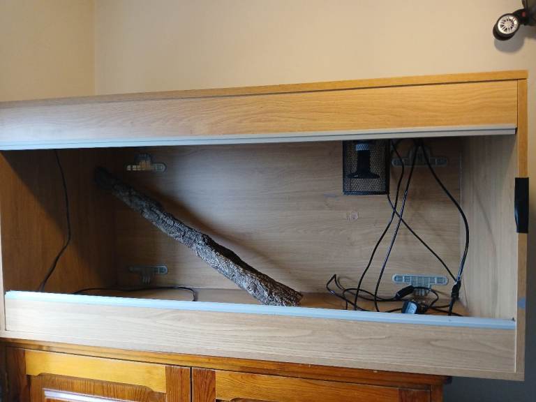 Reptile tank
