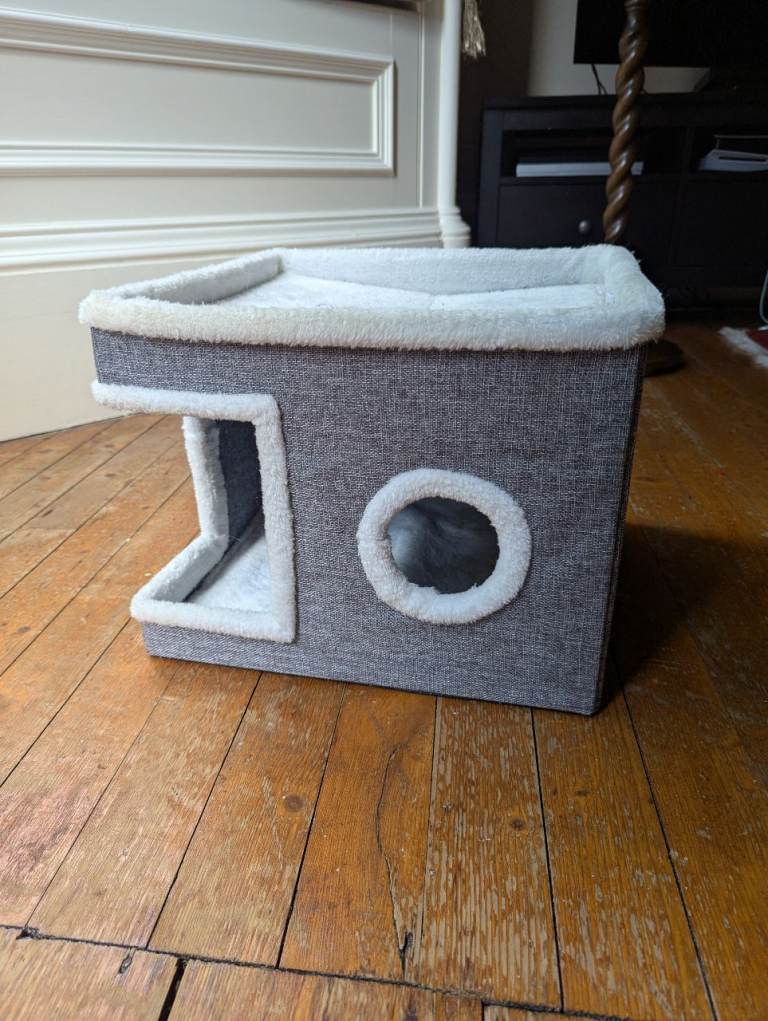 Cat House 