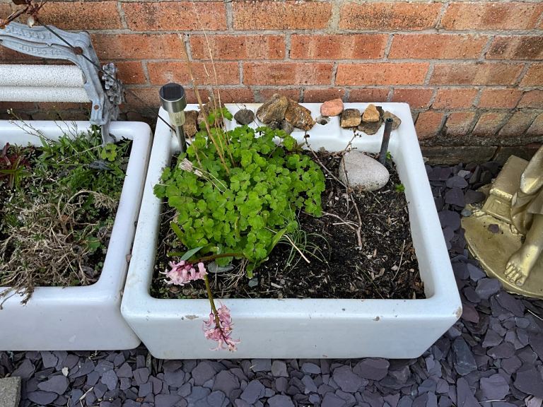 Vintage Belfast sink 