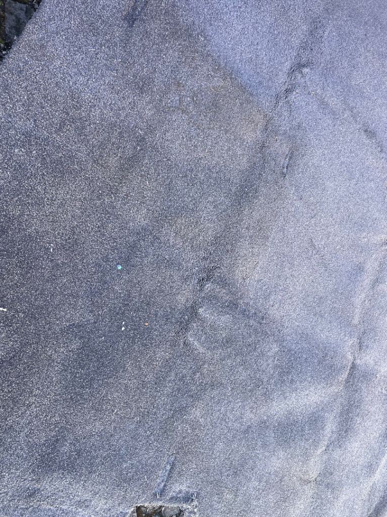 FREE CARPET 10 FT x 13 FT