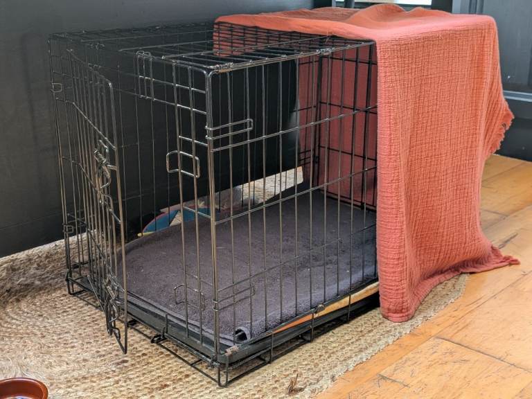 Large Dog Crate with Removable Base Tray 