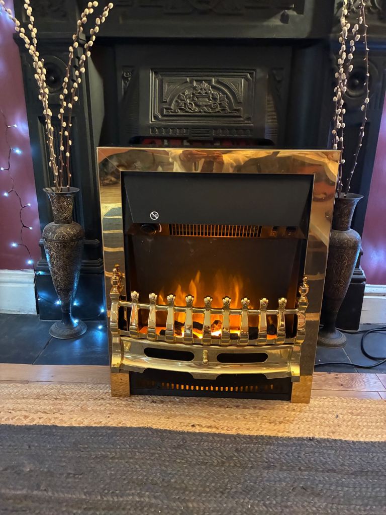 image for Electric fire