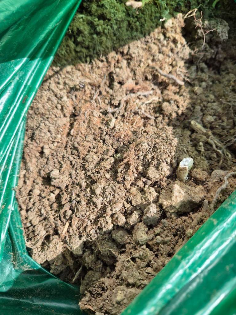 20 + bags of dry Soil