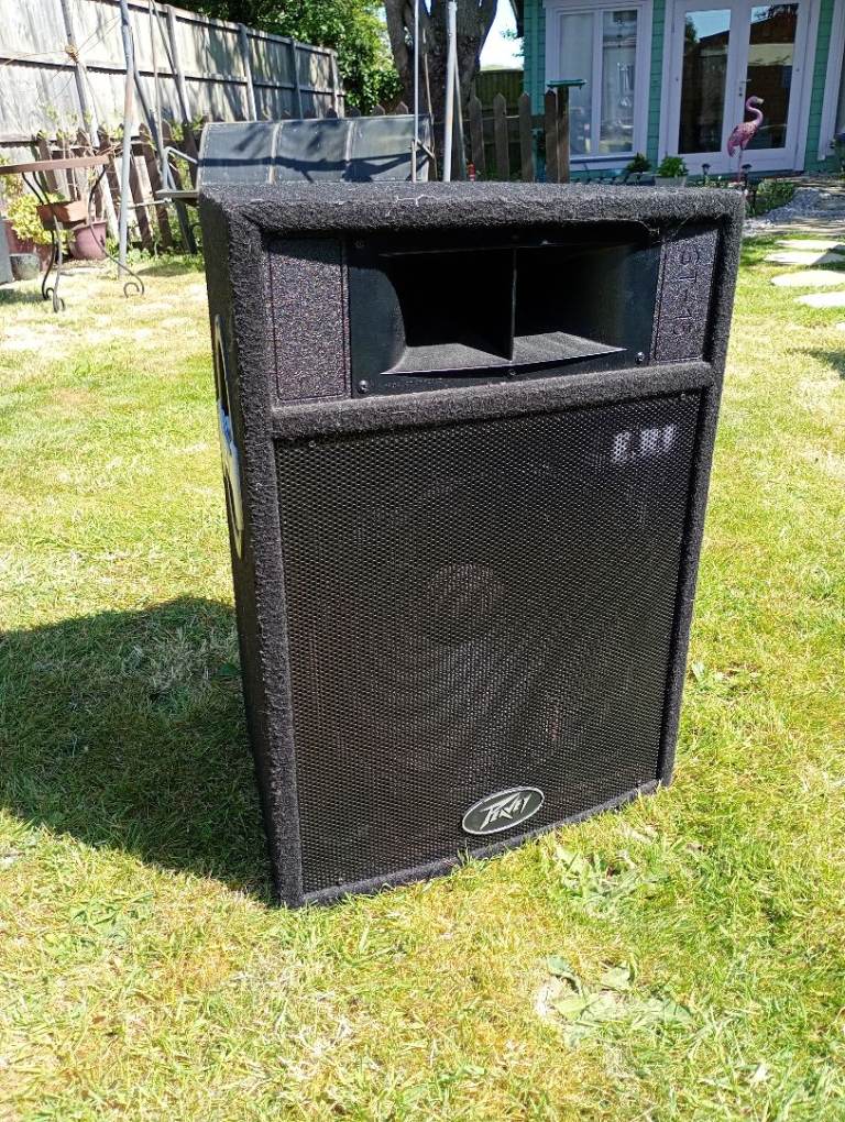 Peavey ST-15 full range 15" speaker (single)