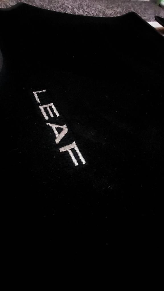 Genuine Nissan Leaf mats 