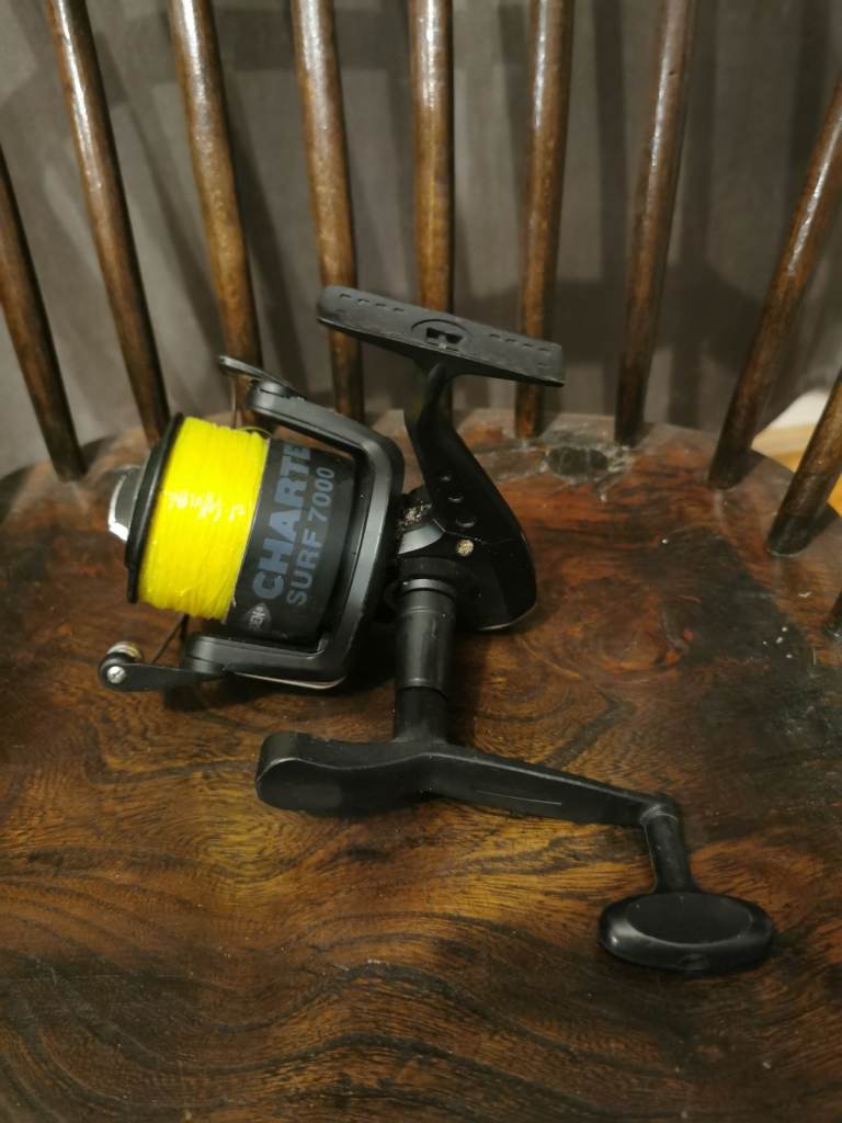 Sea fishing reel 