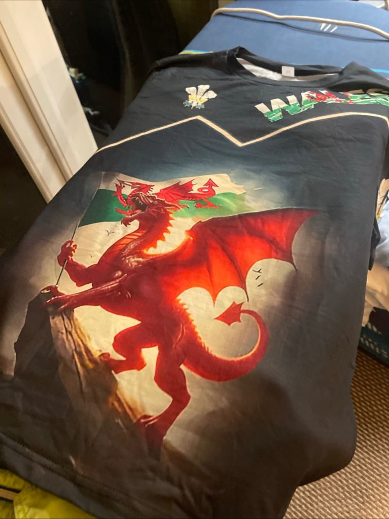 image for Medium new Welsh logo T shirt