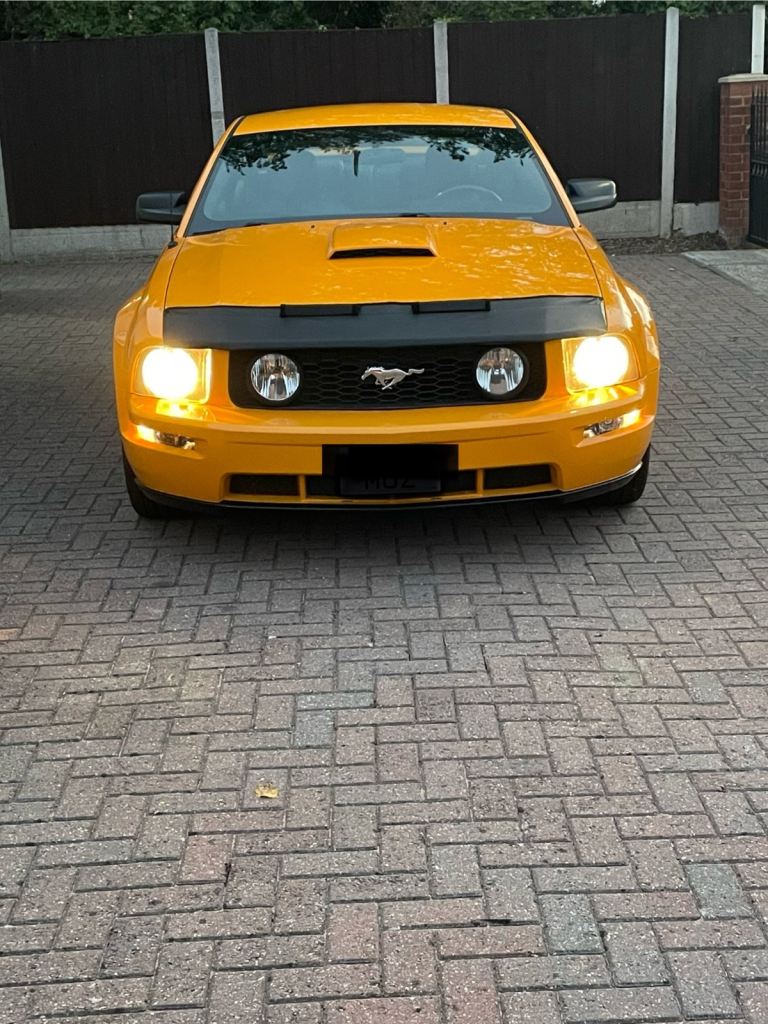 Mustang s197 bonnet bra