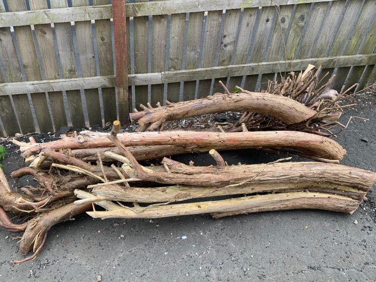 Garden Wood Branches for Firewood or Craft