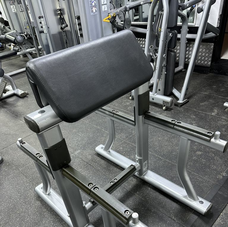 Life Fitness Preacher Arm Curl Bench Dual Sided Gym Equipment UK Used