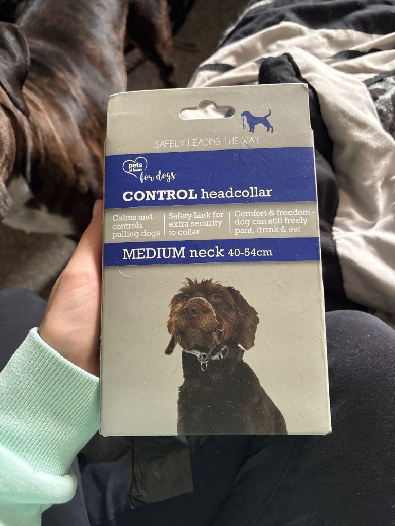 Dog head collar