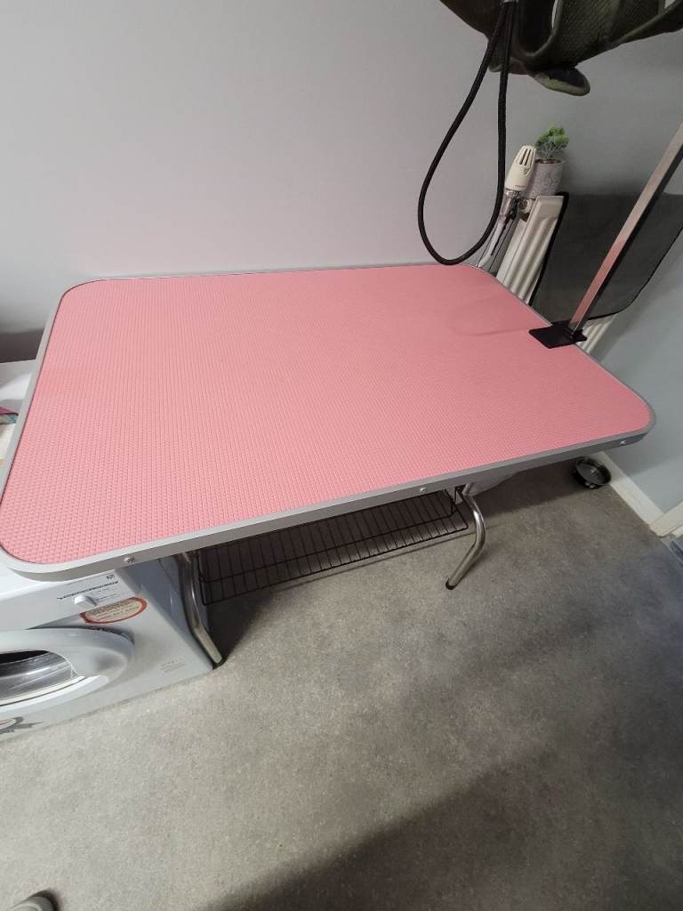 Pet grooming table and accessories 