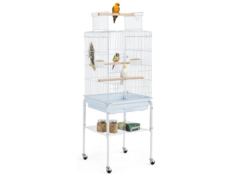 Bird cage 