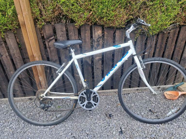 Adult bike
