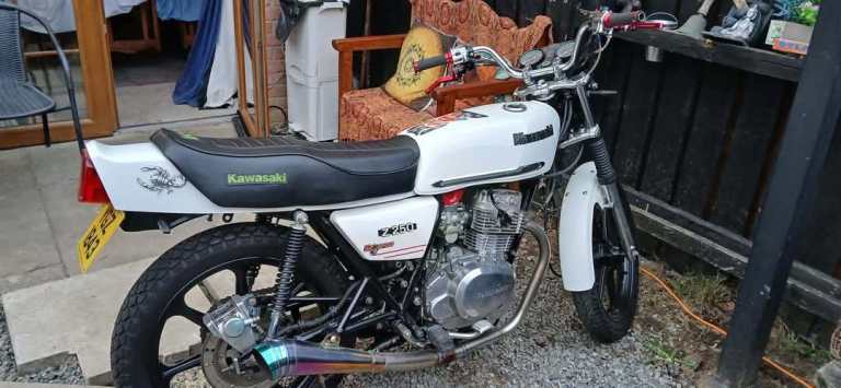Z 250 scorpion 1981, 248 (cc)