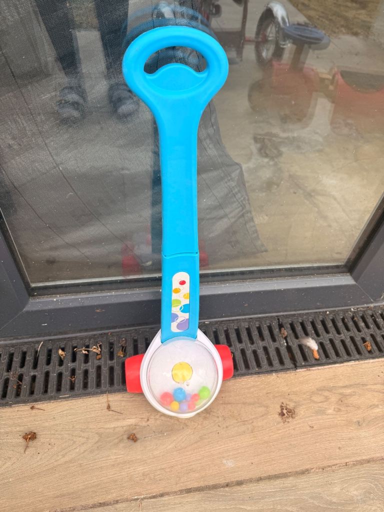 Baby Push Along Toy with Rattling Balls – Good Condition