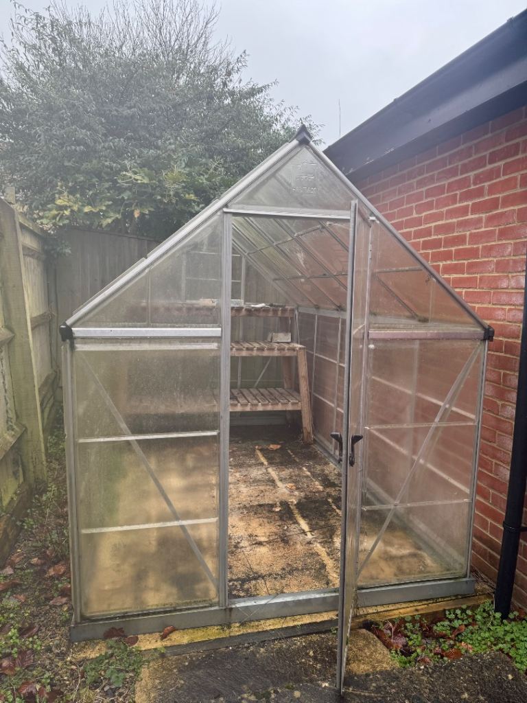 Greenhouse and Wooden Shelving