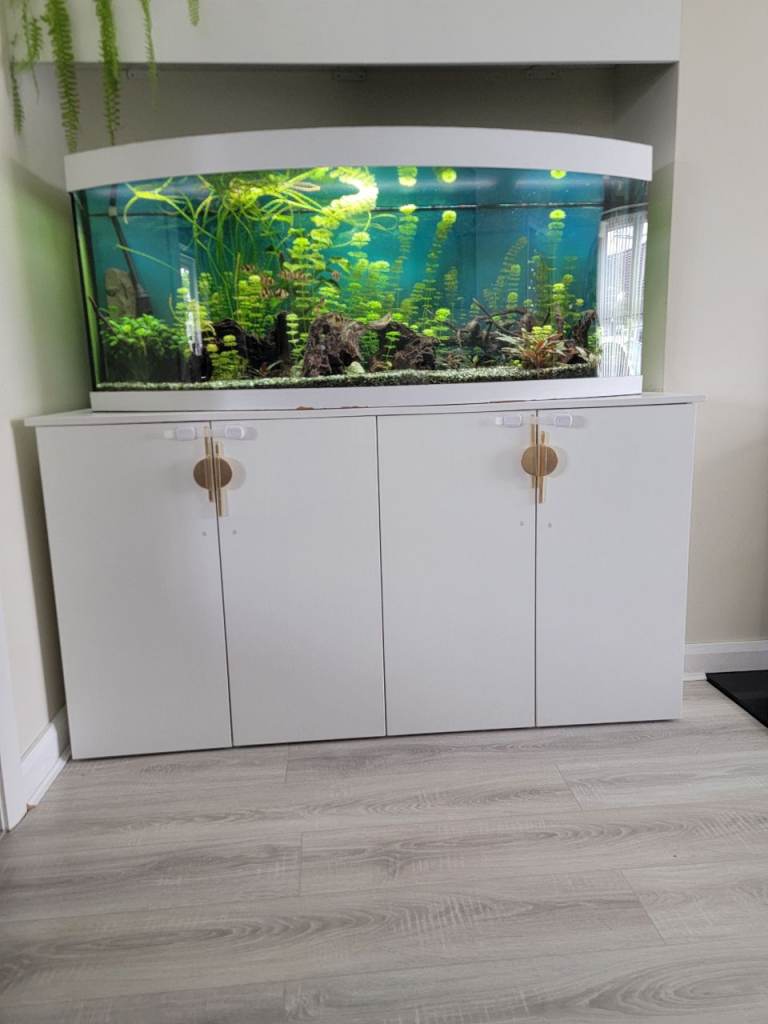 450l fish tank