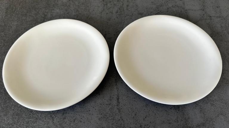 China by Denby Bone China Salad Plate - pair