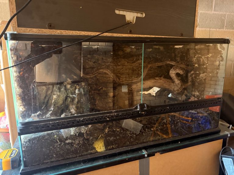 3ft Glass Reptile Vivarium + Exo Terra Compact Top – £150 ONO