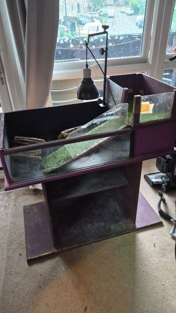 Large purple wooden pet enclosure with ramp and heat lamp stand