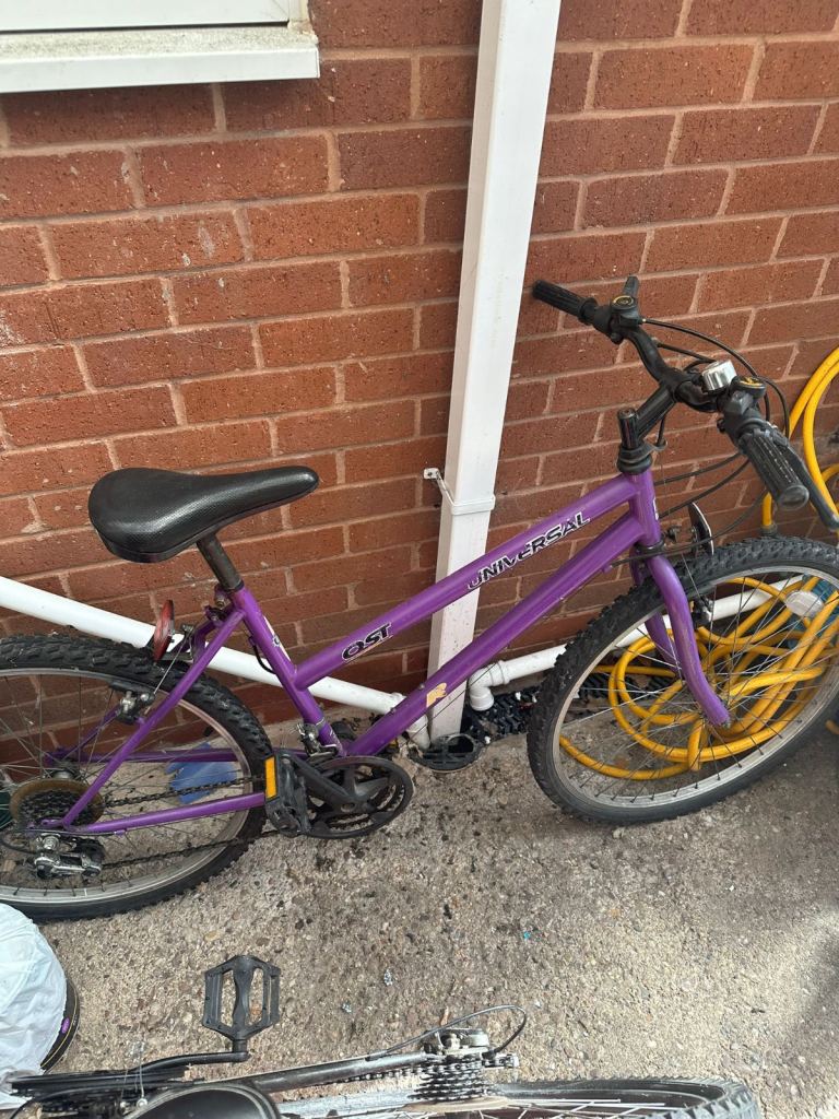 Adults bike 