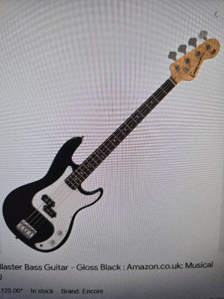 I have a encore black bass 