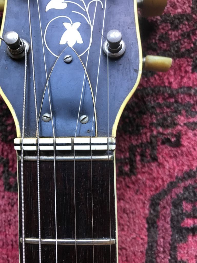 1963 Hofner Verithin