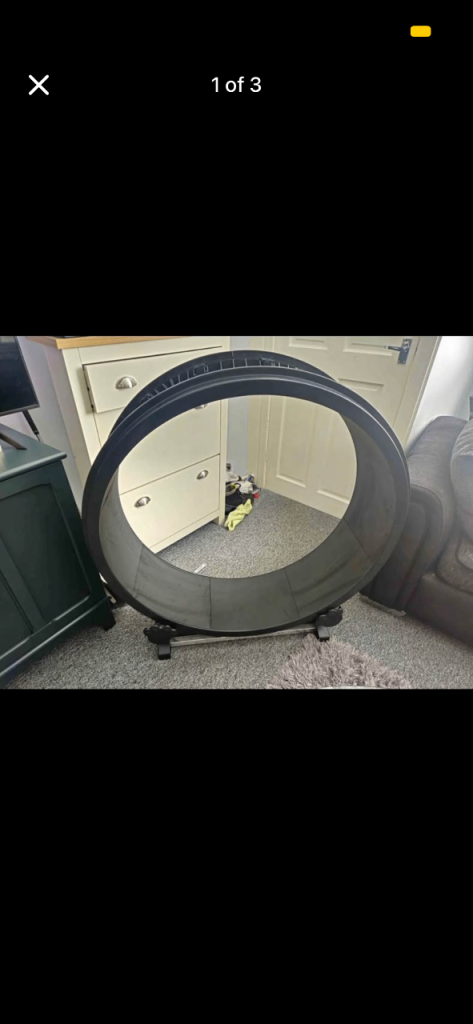 Cat wheel 