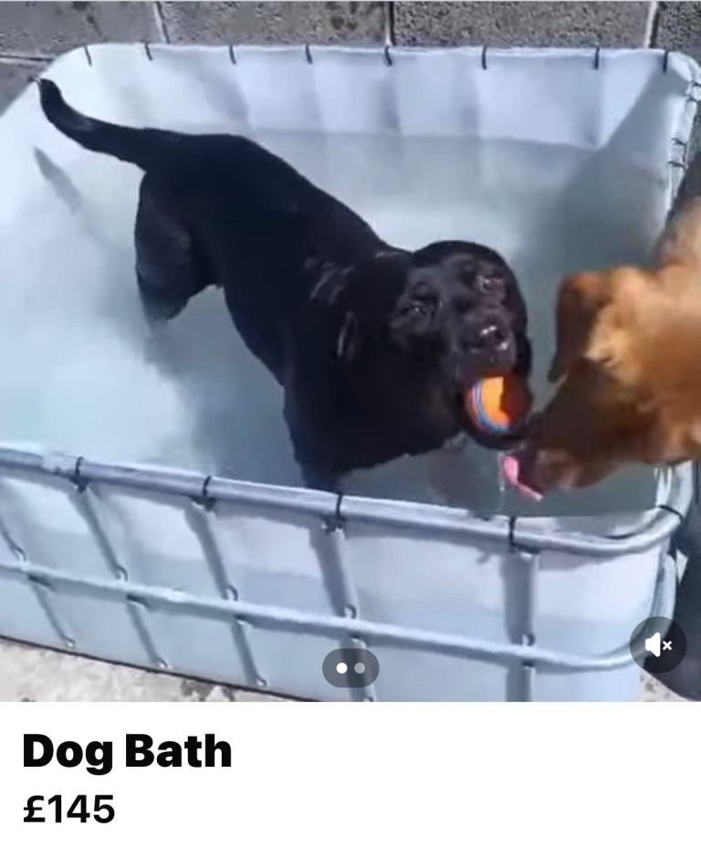 Dog Bath